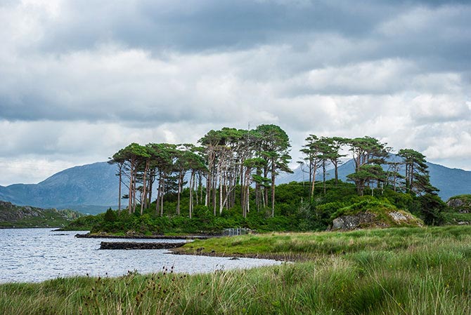 Insel in Connemara