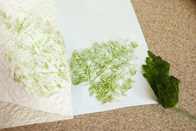 Schritt 4: Küchenpapier und Laubblatt vorsichtig entfernen