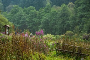 Der Kräuterpark Altenau inmitten von Wäldern