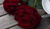 Cappucchino mit zwei Rosen